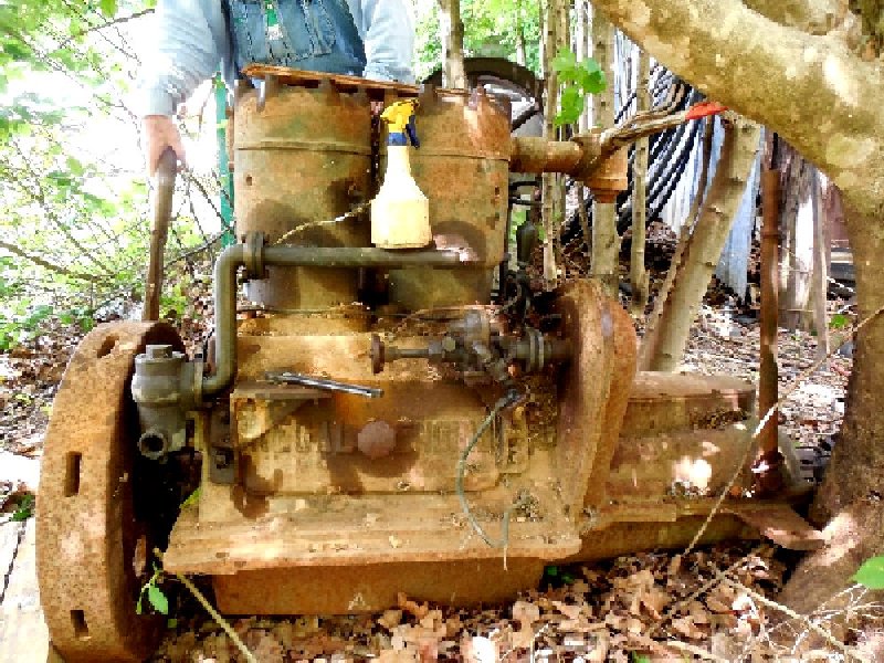 Regal 2-cylinder marine engine