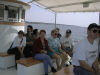 cruise2.jpg (46505 bytes)