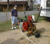 dickdaywatering.jpg (32230 bytes)